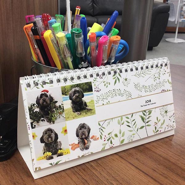 Forest Vet 2018 Calender Competition