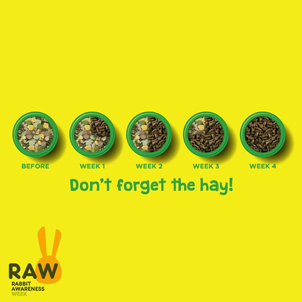 Rabbit Awareness Week