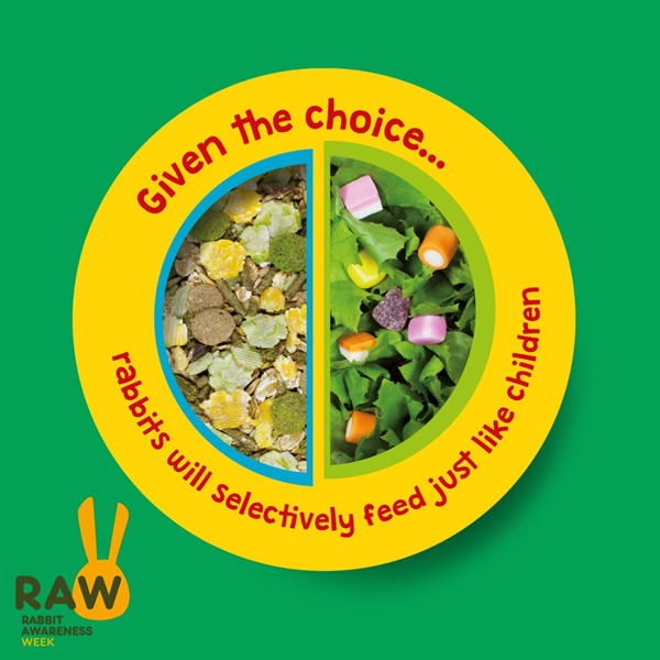 Rabbit Awareness Week