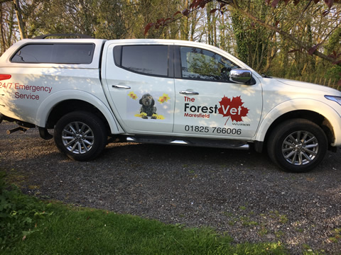 The Forest Vet Goes Mobile